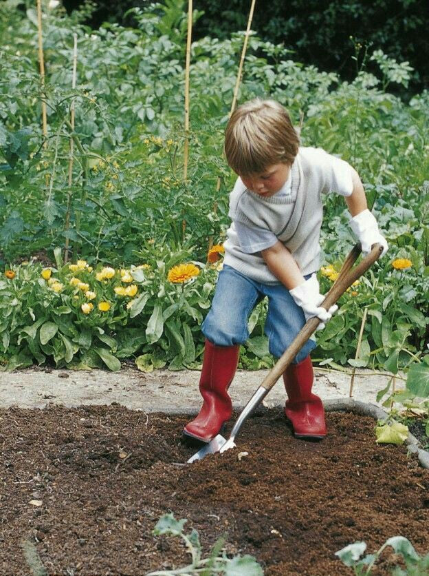 Seedling Starter Kit